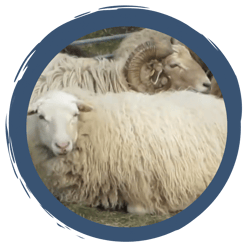 Folge 6: Entspannt in den Frühling