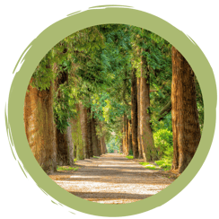 Denkanstöße/Reisepoesie