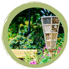 Tipps und Tricks für einen Insektengarten