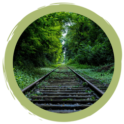 Nachhaltig Reisen: Naturschwärmer-Tipps