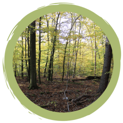 Der Spessart als Urlaubsregion