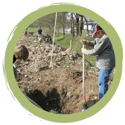 Challenge: Heckensträucher pflanzen –  Familie & Natur etwas Gutes tun