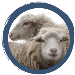 Folge 1: Dürfen wir uns vorstellen?