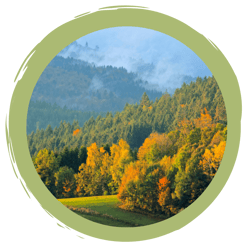 Unterstützung für den Luchs: 6 Tipps