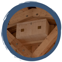 Mit dem Experten vor Ort am Nistplatz der Schleiereulen