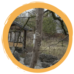 Anleitung: Vogelfuttersäule bauen