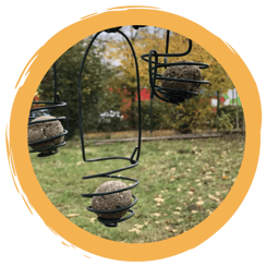 Meisenknödelhalter aus Draht bauen