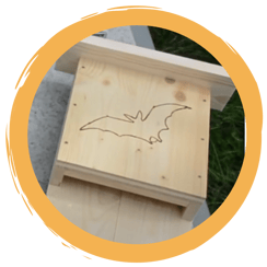 Bau eines Fledermauskastens