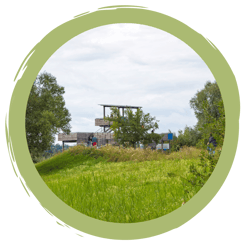 Urlaub am Altmühlsee mit Vogelinsel