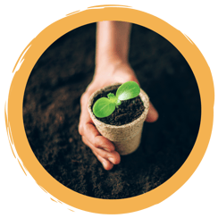 DIY Anzuchttöpfchen