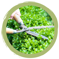 Mehr Nachhaltigkeit in der Hecke