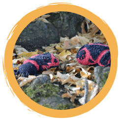 Häkelanleitung Feuerwanze