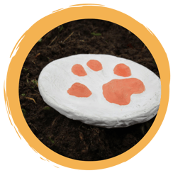 Basteln: Tierspuren aus Gips gießen