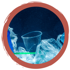 Online-Memory: Müll in der Natur