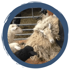 Folge 11: Schönheitssalon