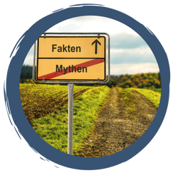 Insekten: Mythen & Fakten