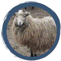 Folge 3: Ein sehr aufregender Tag