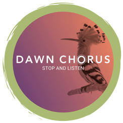 Mitmachaktion: Dawnchorus 2022