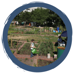 Selbstversorgung ohne eigenen Garten