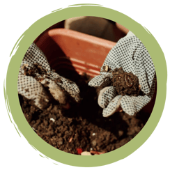 Dünger selbstgemacht