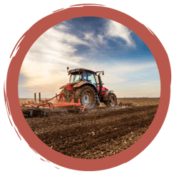 Spielanleitung: Bauernhof Activity