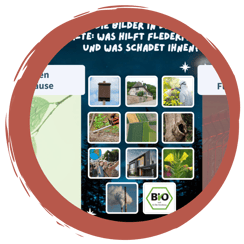 Fledermaus-Quiz: Was mögen sie - was nicht?