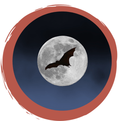 Fledermaus Gute-Nacht-Geschichte