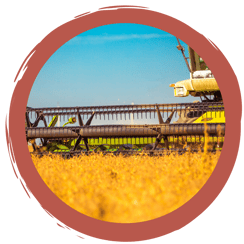 Landwirtschafts-Quiz