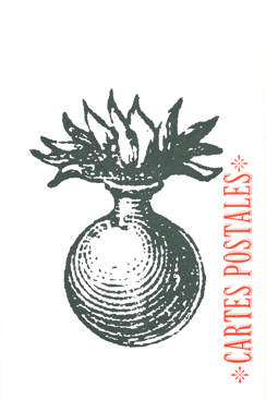 Les petites allées, La boutique