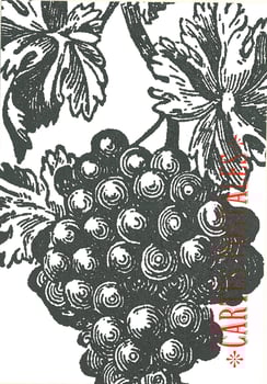 Les petites allées, La boutique