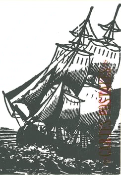 Les petites allées, La boutique