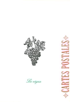 Les petites allées, La boutique