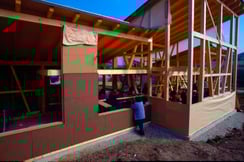 Foto: NABU-Vogelschutzzentrum