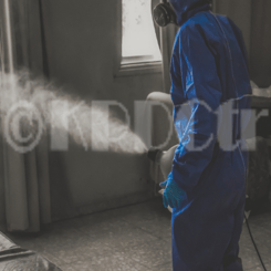 消毒・噴霧処理