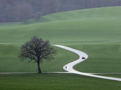 Nachträgliches Weichzeichnen durch "Entrauschen", Reduzierung des Kontrasts und Gaußsches Weichzeichnen