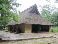 日本民家集落博物館にて撮影