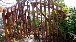 mit Traumarbeit Träume verstehen - Gestalt