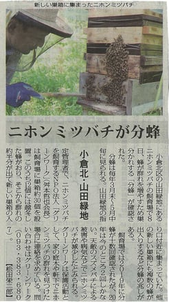 毎日新聞記事20200511