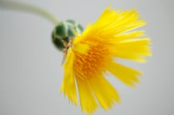 皆様の声・施術体験談　T・Y様　更年期、手術後の不調のイメージ写真