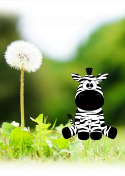 Béatrice ZAMBELLI;Psychopraticienne et Formatrice. Ateliers et Stages de développement personnel. Accompagnement en Relation d'Aide et Développement personnel. Accpgt spécifique des Hypersensibles et HPI. Rêve d'éveil/Rêve éveillé, Cartes du Soi. Vaucluse