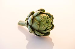 Heilpflanzentherapie Artischocke