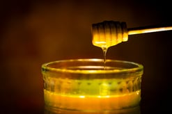 Heilpflanzentherapie Imkerei