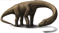 Image animaux detourée transparent sur fond blanc diplodocus png