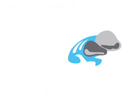 Groppensteinschlucht Obervellach - Mölltal - Kärnten