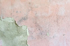 Schimmelbefall im Wohnraum