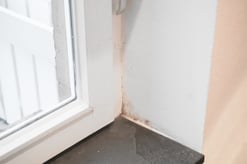 Schimmelbefall an kalten Gebäudeteilen