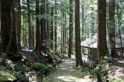 妙法山のお髪上げ