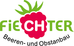 Dein Logo für den Landwirtschaftsbetrieb gestalten lassen vom Profi n der Region Basel. Beispiel: Fiechter Beeren