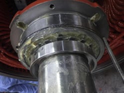 組立・塗装完了