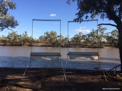 Bat survey using harp trap